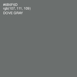 #6B6F6D - Dove Gray Color Image